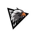 Illustration eagle head mascot logo