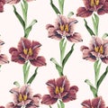 Spring flowers. Flower vintage seamless pattern. Oriental style. Tulips on beige background. Royalty Free Stock Photo