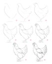 How to draw sketch of imaginary domestic hen. Creation step by step pencil drawing. Education for artists.