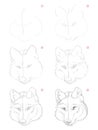 How to draw sketch of imaginary cute wolf head. Creation step by step pencil drawing. Education for artists.