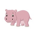 Cute baby hippo on white background Royalty Free Stock Photo