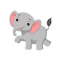 Cute baby elephant isolated on white background Royalty Free Stock Photo
