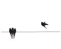 Birds silhouette on wire and flying bird, vector. Scandinavian minimalism art design. Birds illustration isolated on white Royalty Free Stock Photo