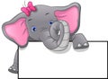 Cute elephant cartoon and blank sign Royalty Free Stock Photo