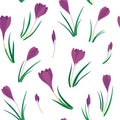 First crocuses mess spring fresh floral botanical seasonal seamless pattern