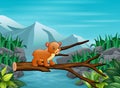 Illsutration of an baby bear crossing a tree bridge