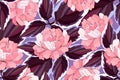 Vector floral pattern. Pink garden flowers, maroon, burgundy, purple leaves. Royalty Free Stock Photo