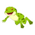 Cartoon happy green frog jumping Royalty Free Stock Photo