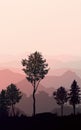 Natural forest mountains horizon hills silhouettes of trees Evening Sunrise and sunset Landscape wallpaper Illustration vector