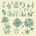 Natural plants and flowers design