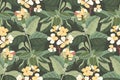 Art floral vector seamless pattern. A pale yellow Mattiola incana in the green foliage Royalty Free Stock Photo