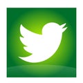 Twitter logo icon bird vector element on white background