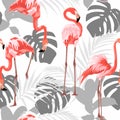 Pink flamingo, grey graphic palm leaves, white background. Floral seamless pattern. Royalty Free Stock Photo