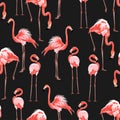 Pink flamingo, black background. Floral seamless pattern. Tropical illustration.