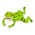 Cartoon happy green frog jumping Royalty Free Stock Photo