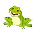 Cartoon happy frog on white background Royalty Free Stock Photo