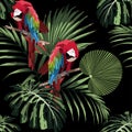 Tropical floral print. Parrot bird in the jungle in the dark exotic forest, seamless pattern for fashion. Royalty Free Stock Photo