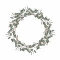 Elegant and cute wreath with silver dollar eucalyptus. Healing Herbs for cards.