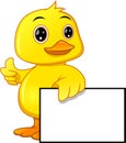 Cute baby duck cartoon and blank sign Royalty Free Stock Photo