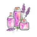 Hand drawn vector illustration of glass jars and bottles with Lavender essential oil.