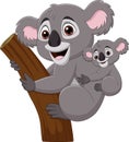 Cartoon mother koala and baby on a tree branch Royalty Free Stock Photo