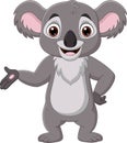 Cartoon happy koala presenting on white background