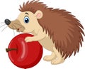 Cartoon baby hedgehog holding red apple Royalty Free Stock Photo