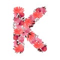 Vector floral letter, capital character K. Botanical monogram.