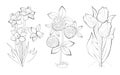 Black and white page for baby coloring book. Set of illustrations of spring flowers. Printable template for kids school textbook.