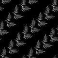 Botanical graphic pattern of black fern leaves on white background. Tropical striped fern grass herb seamless