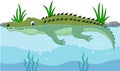 Cartoon green crocodile swimming in the river