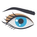 Eye color vector icon which can easily modify or edit Royalty Free Stock Photo