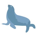 Animal, common seal Color Vector Icon which can be easily modified or edited