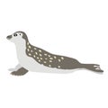 Animal, common seal Color Vector Icon which can be easily modified or edited