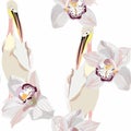 Seamless wallpaper pattern. Pelican water birds and exotic white orchid flowers on a white background. Royalty Free Stock Photo