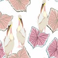 Seamless wallpaper pattern. Pelican water birds and exotic pink leaves on a white background. Royalty Free Stock Photo