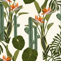 Tropical jungle plants, Sansevieria, cacti, exotic leaves and strelitzia flowers on light background.