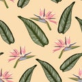 Bird of paradise tropical pink flower and leaves  seamless pattern. Jungle exotic plant for fabric design. South African blossom. Royalty Free Stock Photo