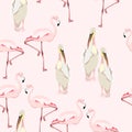 Seamless pattern with hand drawn cute pelicans and pink flamingo birds.