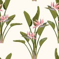 Bird of paradise tropical pink flower and leaves seamless pattern. Jungle exotic plant for fabric design. South African blossom. Royalty Free Stock Photo