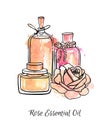 Hand drawn vector illustration of glass jars and bottles with Rose essential oil.