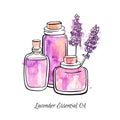 Hand drawn vector illustration of glass jars and bottles with Lavender essential oil. Beautiful flasks and flower for aromatherapy