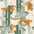 Seamless tropical desert pattern background with leopard, cacti and plants isolated on light background. Royalty Free Stock Photo