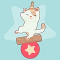 The character of cute cat playing with a big star ball in circus theme. The cute cat wear a party hat and standing on the ball on