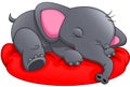 Cute elephant slepping on a white background