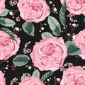 Floral seamless pattern with watercolor style pink roses and  blooming white herbs. Royalty Free Stock Photo