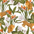 Seamless tropical safari pattern background with leopard, palms, and exotic Strelitzia flowers isolated on white background. Royalty Free Stock Photo