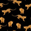 Seamless exotic pattern with abstract silhouettes of leopard animals. Hand draw illustration. Royalty Free Stock Photo