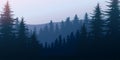 Nature forest Natural Pine forest mountains horizon. Landscape wallpaper. Sunrise and sunset. Illustration vector style colorful. Royalty Free Stock Photo