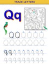 Tracing letter Q for study alphabet. Printable worksheet for kids. Education page for coloring book.